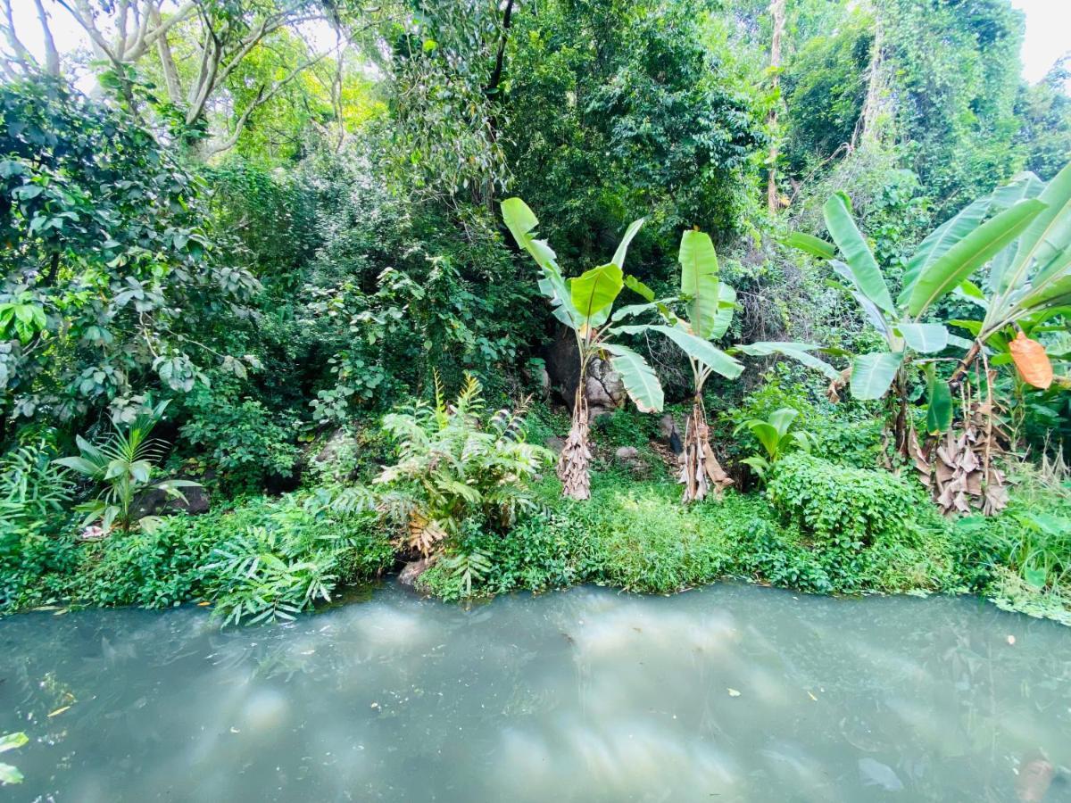 Nature Villa Unawatuna Galketiya Exterior photo